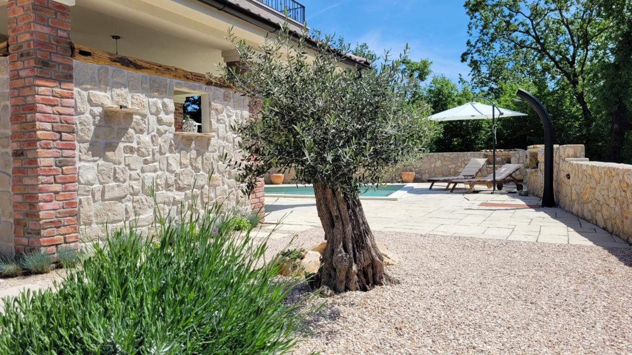 Villa Alara - Charming Villa With Heated Swimming Pool Milohnici Zewnętrze zdjęcie